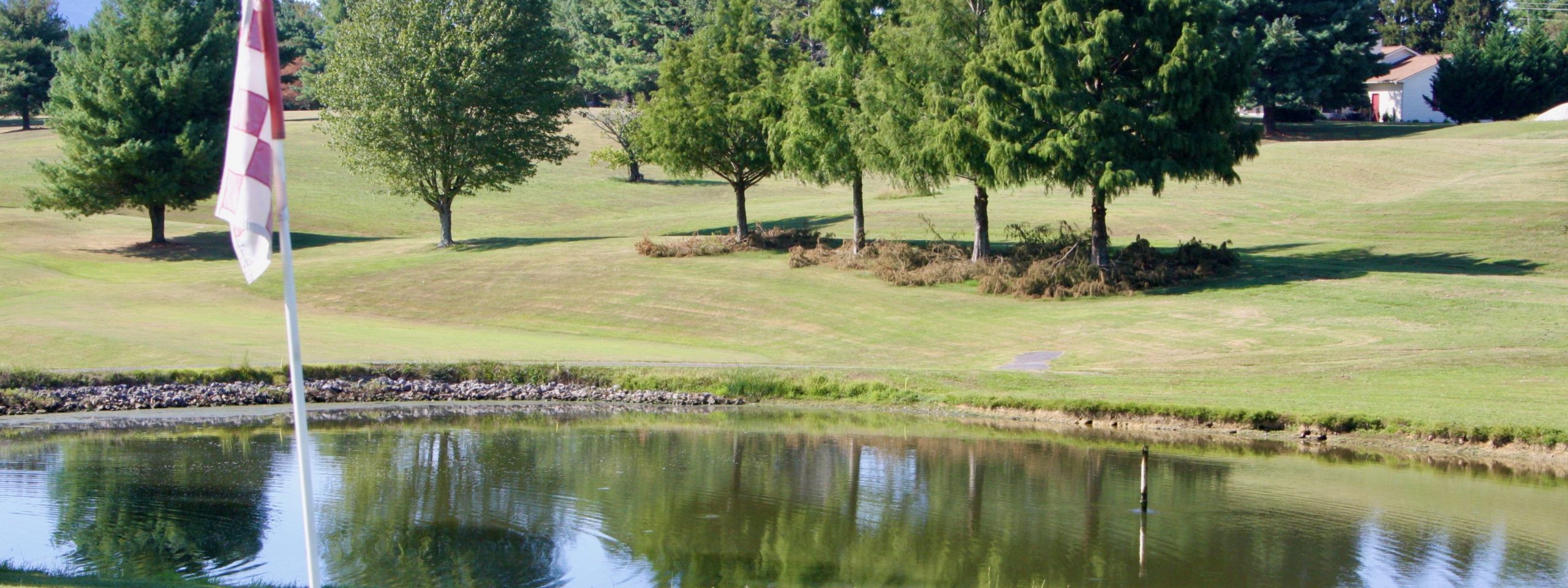 Pond and flag