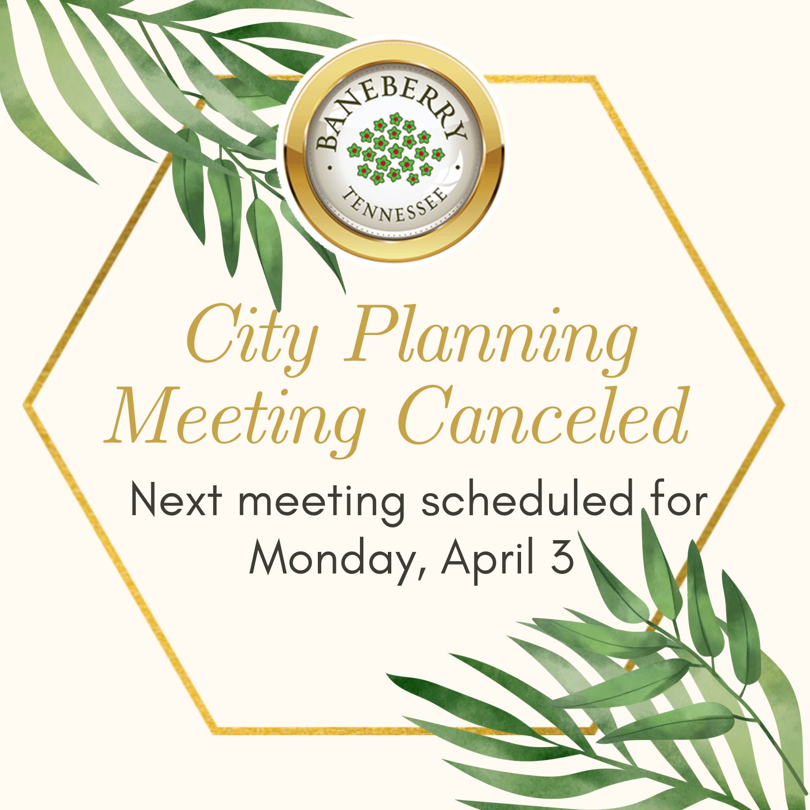 City Planning meeting canceled_March