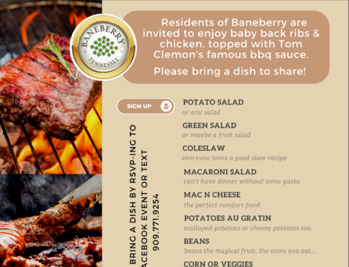 Community BBQ Party: June 17