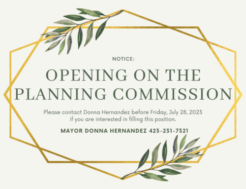 Planning Commission has an opening
