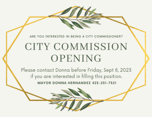City Commission has an opening