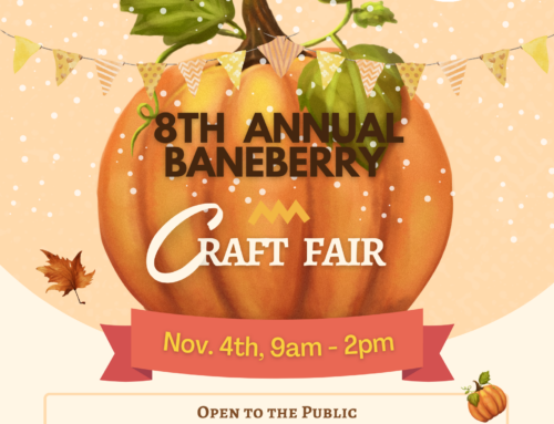 8th Annual Craft Fair: Nov 4