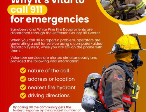 Why it is vital to call 911 for emergencies.