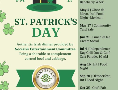 St. Patrick’s Day: Mar 17 (Monday)